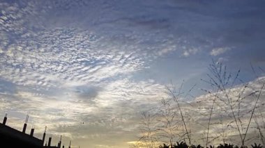 Yeni günün şafağında ufka bakıyorum..