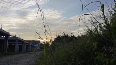 Yeni günün şafağında ufka bakıyorum..