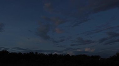 Yeni günün şafağında ufka bakıyorum.. 