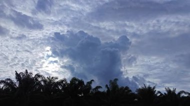 Yeni günün şafağında ufka bakıyorum.. 