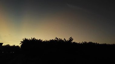 Yeni günün şafağında ufka bakıyorum.. 