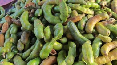 Tamarind şekilli inga laurina kapsülleri. Efsanevi bitki.