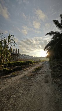 Parlak güneş ışığı yolun ortasında ışıldıyor. Mesafe ufku..