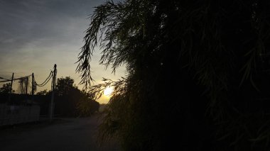 Parlak güneş ışığı yolun ortasında ışıldıyor. Mesafe ufku..