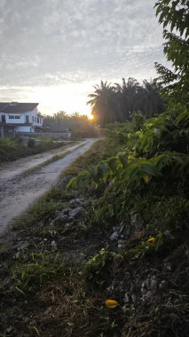 Parlak güneş ışığı yolun ortasında ışıldıyor. Mesafe ufku.. 