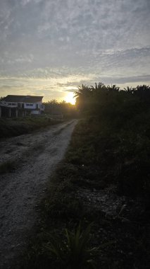 Parlak güneş ışığı yolun ortasında ışıldıyor. Mesafe ufku.. 