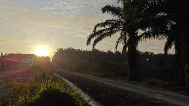 Parlak güneş ışığı yolun ortasında ışıldıyor. Mesafe ufku..