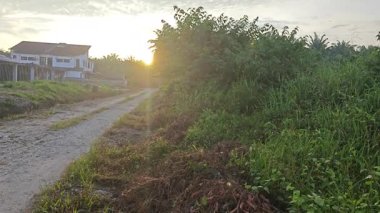 Parlak güneş ışığı yolun ortasında ışıldıyor. Mesafe ufku..