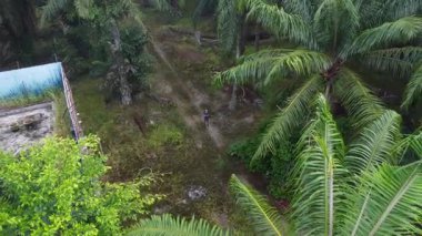 Bir adam ıssız tarlalarda dikilirken hava görüntüsü alıyor..