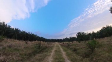 Kırsal kesimlerde hareket eden beyaz bulutlarla akşam gökyüzünün hızlandırılmış görüntüsü.  