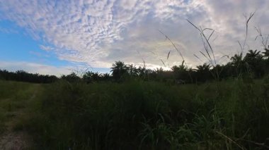 Kırsal kesimlerde hareket eden beyaz bulutlarla akşam gökyüzünün hızlandırılmış görüntüsü.  