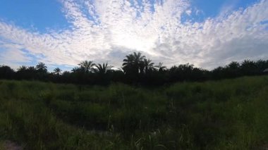 Kırsal kesimlerde hareket eden beyaz bulutlarla akşam gökyüzünün hızlandırılmış görüntüsü.  