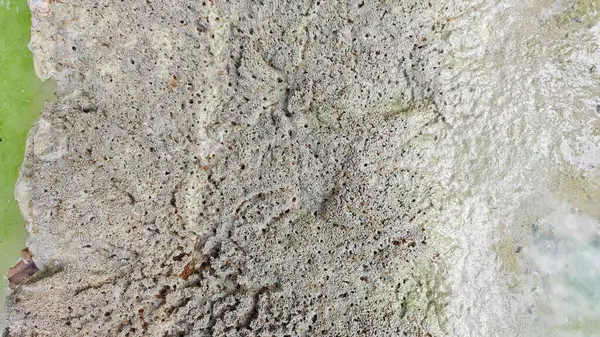 Su birikintisinin yanındaki küçük ateş karıncalı labirent yolu..