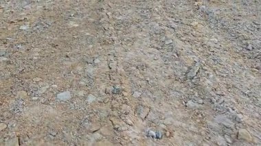 Kirli yolun yüzeyinde bilinmeyen araç tekerlek izleri var..