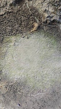 Kurumuş su birikintisinin yanındaki aşırı küçük ateş karınca labirenti yuvası..