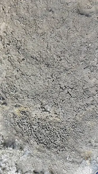 Kurumuş su birikintisinin yanındaki aşırı küçük ateş karınca labirenti yuvası..