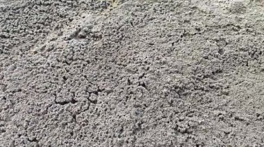 Küçük labirent desenli yuva yolu ve su birikintisi su birikintisinin kenarında uçar.. 