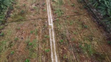Bir adam ıssız tarlalarda dikilirken hava görüntüsü alıyor..