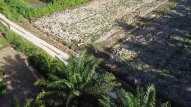 Bir adam ıssız tarlalarda dikilirken hava görüntüsü alıyor..