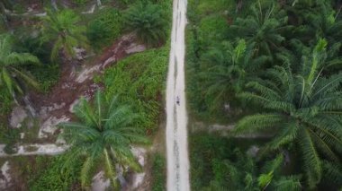 Bir adam ıssız tarlalarda dikilirken hava görüntüsü alıyor..