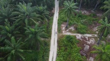 Bir adam ıssız tarlalarda dikilirken hava görüntüsü alıyor..