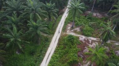 Bir adam ıssız tarlalarda dikilirken hava görüntüsü alıyor..