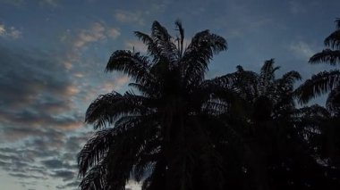 Gece ile mavi saat arasındaki uzaklık, altın ve mavi saat gökyüzü görüntüsü. 