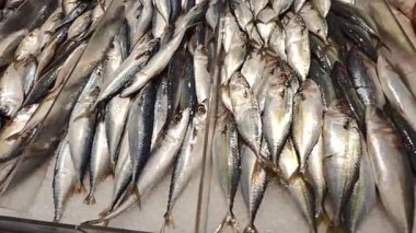 Pazarda satılık tepside taze tuzlu su balıklarının çeşitli çeşitlerini göster.