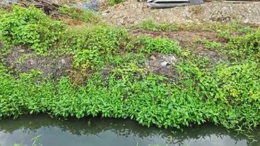 Hala inşaat halindeki konutların çevresindeki görüntüler.. 
