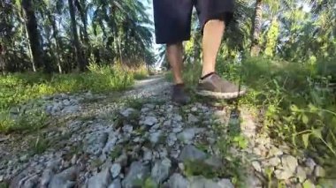 Erkek model, kırsal parlak güneş yolunda tek başına yürüyor..