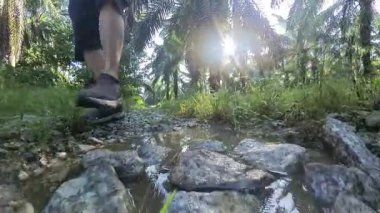 Erkek model, kırsal parlak güneş yolunda tek başına yürüyor..