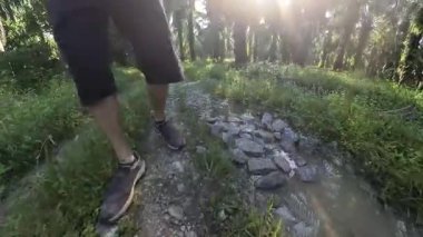 Erkek model, kırsal parlak güneş yolunda tek başına yürüyor..