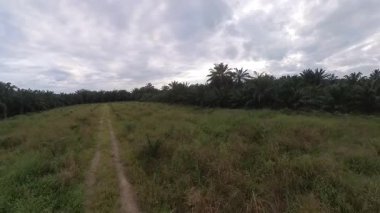 Vahşi tarla yolunun etrafındaki hareketin geniş açılı açısı..