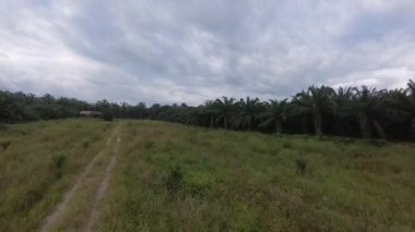 Vahşi tarla yolunun etrafındaki hareketin geniş açılı açısı..