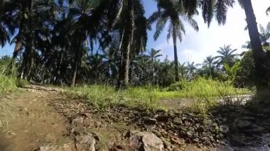 Taşlı ya da kayalık kırsal yolda yürüme hareketi.