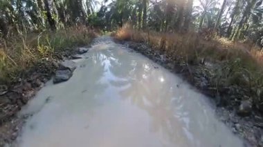 Taşlı ya da kayalık kırsal yolda yürüme hareketi.