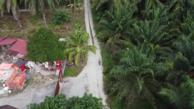 İzole edilmiş palmiye yağı tarlasında İHA uçuran bir adamın hava görüntüleri..