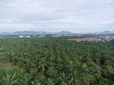 Kırsal kırsal yol manzarası etrafında eski binalar filizlenmiş.. 