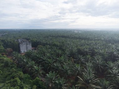 Kırsal kırsal yol manzarası etrafında eski binalar filizlenmiş.. 