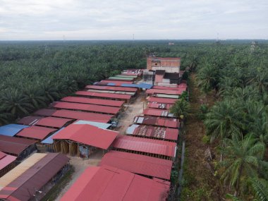 Kırsal kırsal yol manzarası etrafında eski binalar filizlenmiş.. 