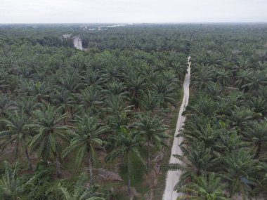 Kırsal kırsal yol manzarası etrafında eski binalar filizlenmiş.. 