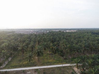 Kırsal kırsal yol manzarası etrafında eski binalar filizlenmiş.. 