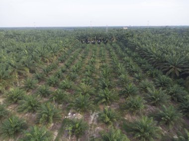 Kırsal kırsal yol manzarası etrafında eski binalar filizlenmiş.. 
