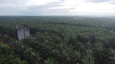 Eski ve yeni binalar filizlenen kırsal patika yolunun çevresel manzarası..