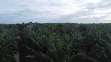 Eski ve yeni binalar filizlenen kırsal patika yolunun çevresel manzarası..