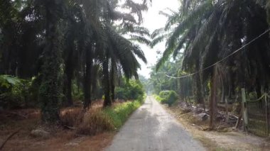 Eski ve yeni binalar filizlenen kırsal patika yolunun çevresel manzarası..