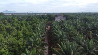 Eski ve yeni binalar filizlenen kırsal patika yolunun çevresel manzarası..