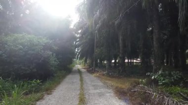 Eski ve yeni binalar filizlenen kırsal patika yolunun çevresel manzarası..