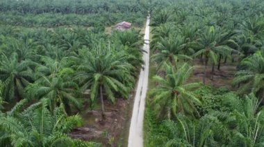 Eski ve yeni binalar filizlenen kırsal patika yolunun çevresel manzarası..