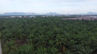 Eski ve yeni binalar filizlenen kırsal patika yolunun çevresel manzarası..